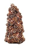 18 Pre-Lit Frosted Pine Cone Table Top Christmas Tree - Clear Lights