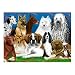  : Melissa & Doug 0200 pc Fetching Friends Cardboard Jigsaw