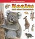 Koalas and Other Marsupials (What Kind of Animal Is It?)