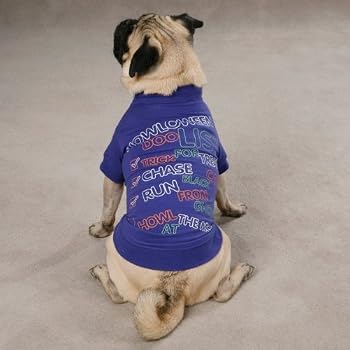 Zack & Zoey Halloween to Doo List Tee - Large