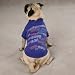 Zack & Zoey Halloween to Doo List Tee - Large