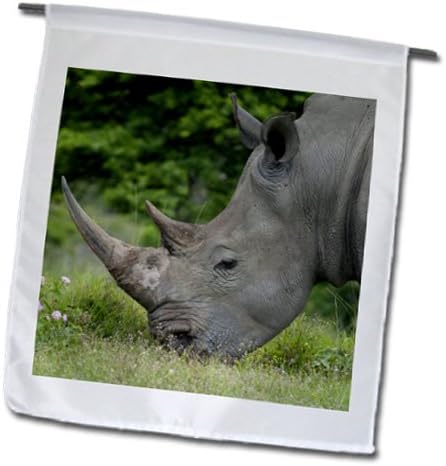 Danita Delimont - Rhinos - South Africa, Game Reserve, African White Rhino-AF42 CMI0167 - Cindy Miller Hopkins - 18 x 27 inch Garden Flag (fl_74585_2)