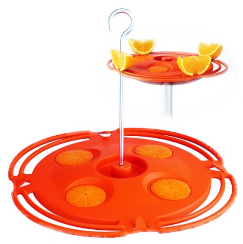 Opus 467-3 Plastic 16-Ounce Oriole Feeder