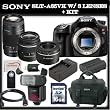 Sony a (alpha) SLT-A65VK - Digital camera - SLR - 24.3 Mpix - 18-55mm f/3.5-5.6 DT - Sony AF D 75-300mm f/4.5-5.6 Lens - Sony 50mm f/1.8 DT AF Lens - SSE Package: Wireless Remote, Replacement FM500H Battery, Rapid Travel Charger, 16GB SDHC Memory Card, Card Reader, Shoe Mount Flash, Carrying Case, HDMI Cable & SSE Microfiber Cleaning Cloth