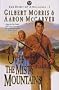 Over the Misty Mountains (The Spirit of Appalachia Series #1)  (Book 1)