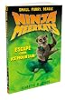The Escape from Ice Mountain (Ninja Meerkats 3)