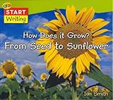 From seed to sunflower