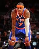 Carmelo Anthony - NY Knicks debut - NBA 8x10 Photo