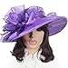 Women Floral Wide Brim Church Derby Kentucky Dress Hat (4 Colors)