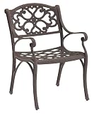 Home Styles Outdoor Dining Arm Chair in Rust Brown Finish (Set of 2)