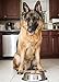 Dog Bowls 32 Ounce Stainless Steel Material – Set of 2 - These Dishes have Long Durability - with Rubber Base so the Bowls Shouldn’t Slide - with 2 Year Warranty