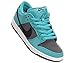 Nike Men's Dunk Low Pro SB Skate Shoe