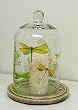 Dragonfly Glass Bell Jar Cloche Terrarium with Dried Sage Ceramic Base
