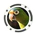 Parrot Poker Chip Card Guard Great Gift Idea