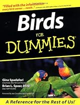 Birds for Dummies