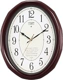 CITIZEN �ͥ�꡼�ʥ��졼�� ���ȳݻ��� 4MN417-006