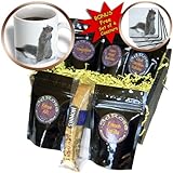 cgb_12329_1 Beverly Turner Photography - Cute Squirrel in the Snow - Coffee Gift Baskets - Coffee Gift Basket