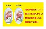 �ǥ����ˡ� �ȥ������ȡ��꡼ ���󥵥�3.5(�����ꥢ��)