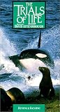 Trials of Life: Hunting & Escaping [VHS]