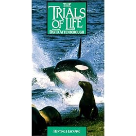 Trials of Life: Hunting & Escaping [VHS]