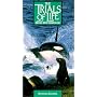 Trials of Life: Hunting & Escaping [VHS]