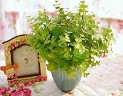 Artifical Flora Eucalyptus Leaves Bush - Plant 4pcs