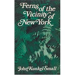 Ferns of the Vicinity of New York