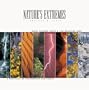 Nature Extremes: Eight Seasons Shape a Southwestern Land