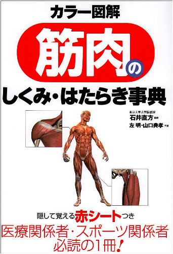 カラー図解 筋肉のしくみ・はたらき事典