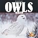 Owls for Kids (Wildlife for Kids Series)