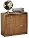 Sauder(R) Simplicity Lateral File, 28 7/8in.H x 30 1/8in.W x 19 1/2in.D, Light Desert Oak