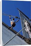 Canvas Prints of One of the crew members of S/Y Sanjeeda up the rigging from AWL Discover Images