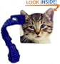 Kitten Stroller Book