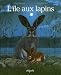 L'île aux lapins chez Livres sur le nom: 51E6DBW6EPL._SL75_