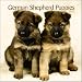 German Shepherd Puppies 2010 Mini Wall Calendar