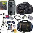 Canon EOS Rebel T3i 18 MP CMOS Digital SLR Camera with EF-S 18-55mm f/3.5-5.6 IS II Zoom Lens & EF 75-300mm f/4-5.6 III Telephoto Zoom Lens + 11pc Bundle 16GB Deluxe Accessory Kit