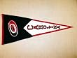 Carolina Hurricanes - Classic NHL Hockey (Pennants)