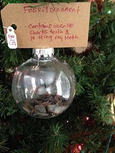 Sharks Teeth Ornament