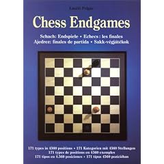 Chess Endgames. 171 types in 4560 positions