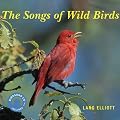 The Songs of Wild Birds