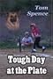 Tough Day at the Plate