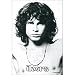 Jim Morroson the Doors Open Arms Fabric Poster Flag