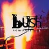 Bild des Albums von Bush