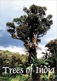 Trees of India