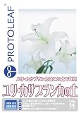 プロトリーフ ユリ・カサブランカの土 14L の評価・レビュー