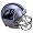 Carolina Panthers