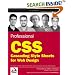Professional CSS: Cascading Style Sheets for Web Design