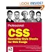 Professional CSS: Cascading Style Sheets for Web Design
