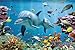 Underwater Dolphin Coral Reef