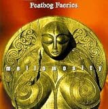 Mellowosity [CASSETTE]